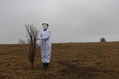 Cicatrix: Walk and Talk with Katie Ackrill