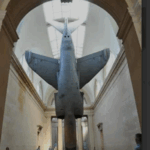 Gail Brown: The Art of Flight